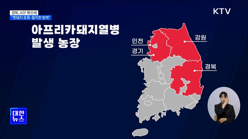 경북 '아프리카돼지열병' 확산세···"멧돼지 포획·철저한 방역"
