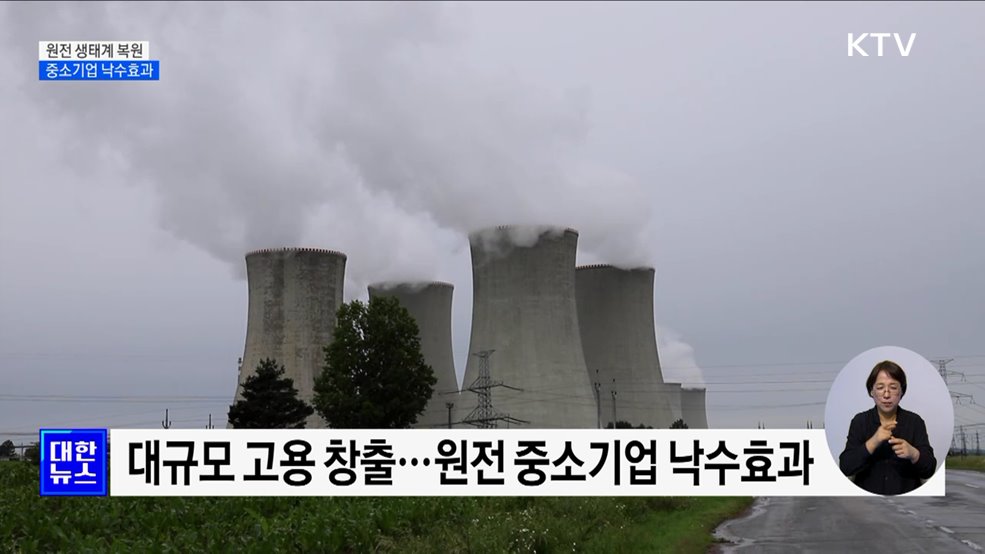 원전 생태계 복원 탄력···"낙수효과 기대"
