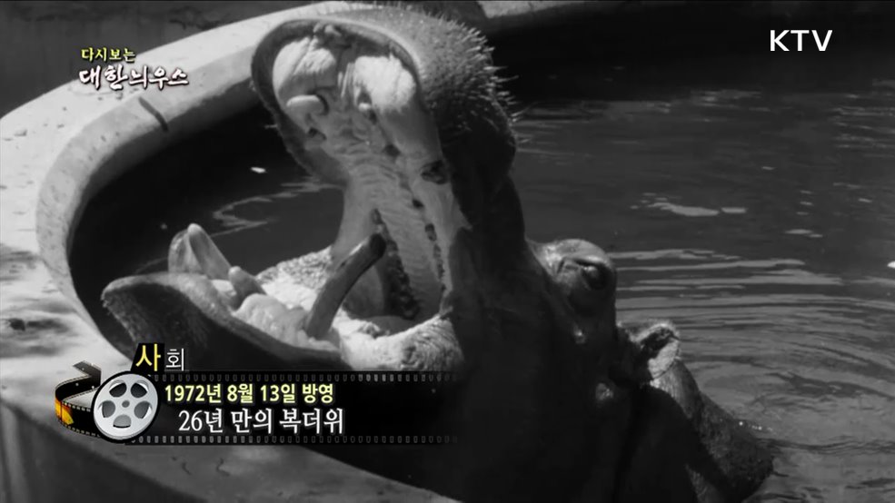 다시보는 대한늬우스 (72. 8. 13.)