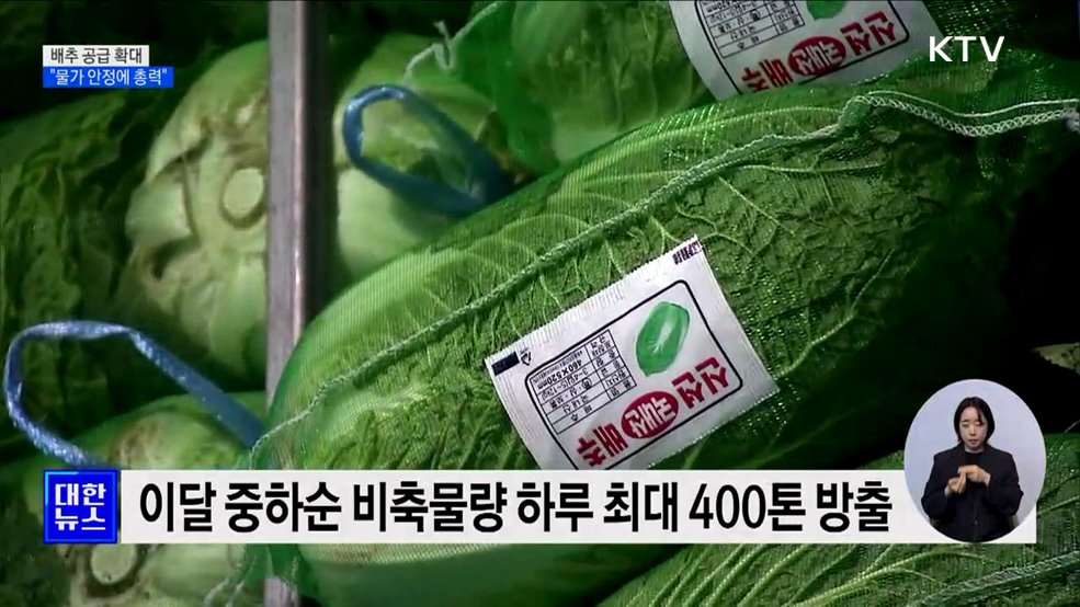 배추 비축물량 하루 최대 400톤 방출···"물가 안정에 총력"