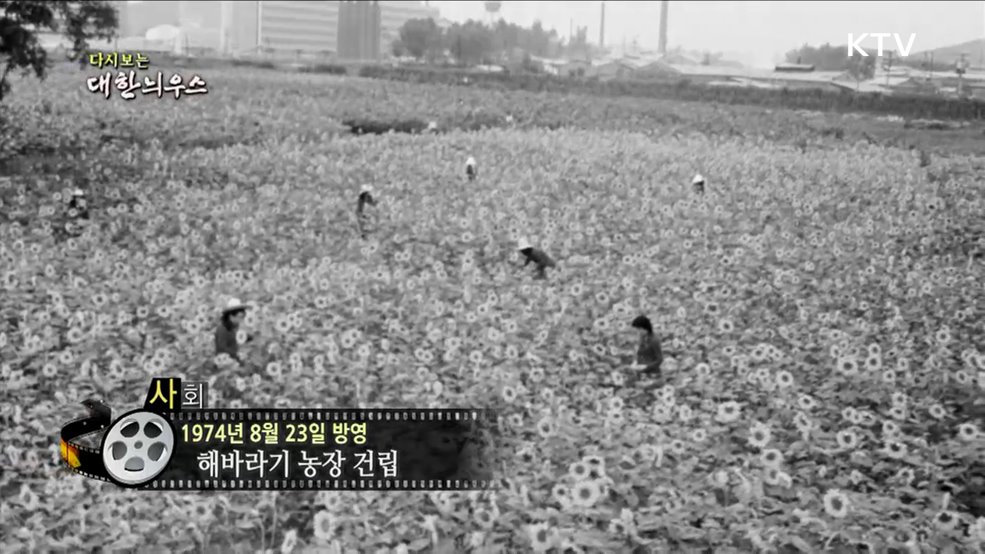 다시보는 대한늬우스 (74. 8. 23.)