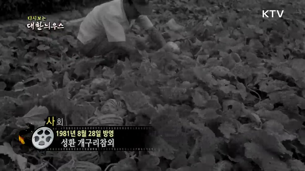 다시보는 대한늬우스 (81. 8. 28.)