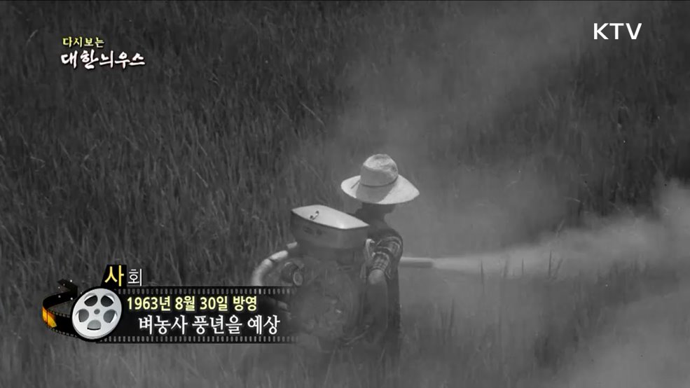 다시보는 대한늬우스 (63. 8. 30.)