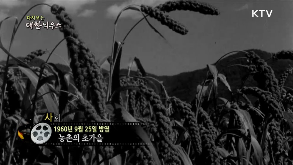 다시보는 대한늬우스 (24. 9. 25.)