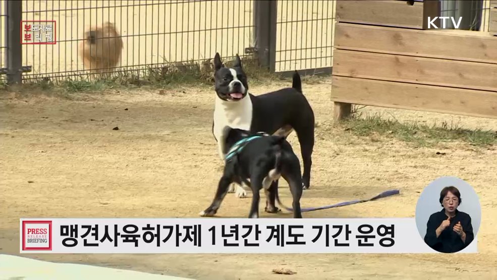 맹견사육허가제 계도기간 끝나기 전에 꼭 맹견 사육허가 받으세요!