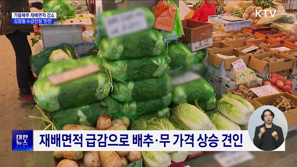 가을배추 재배면적 감소···김장철 수급안정 '만전'