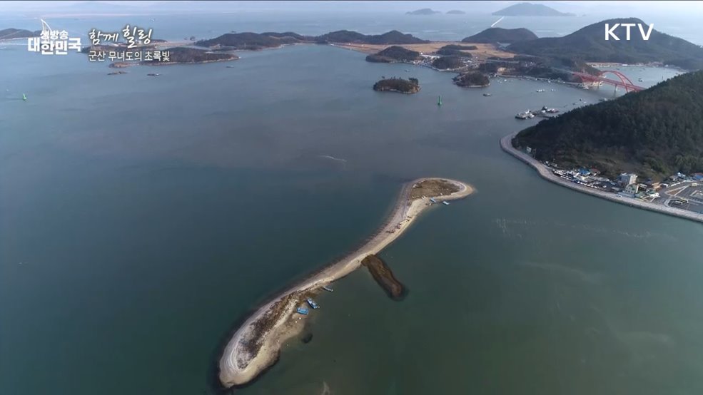 군산 무녀도의 초록빛 [함께 힐링]