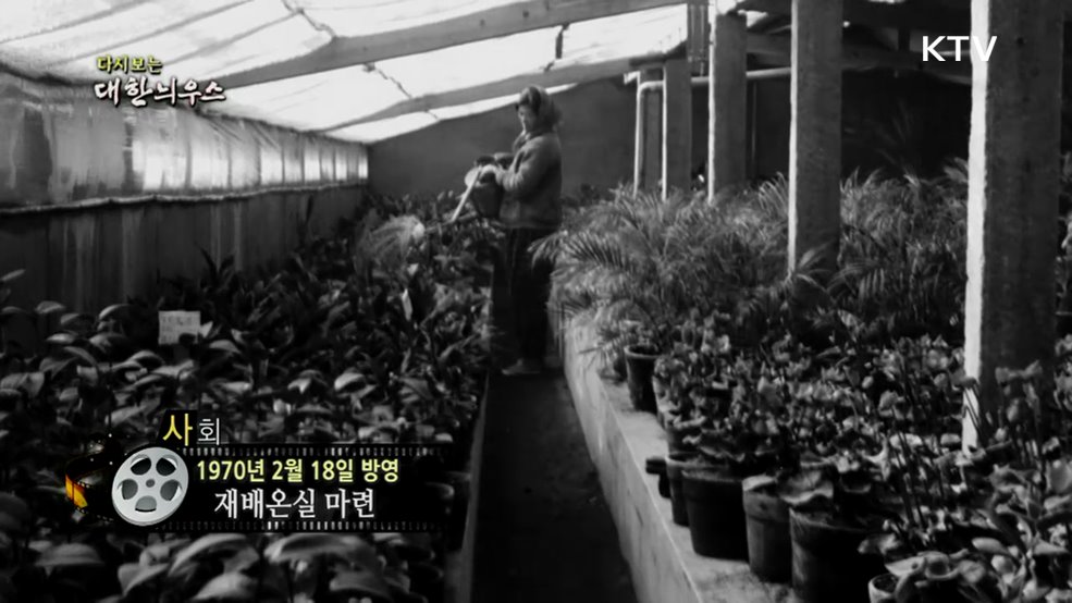 다시보는 대한늬우스 (70. 2. 18.)