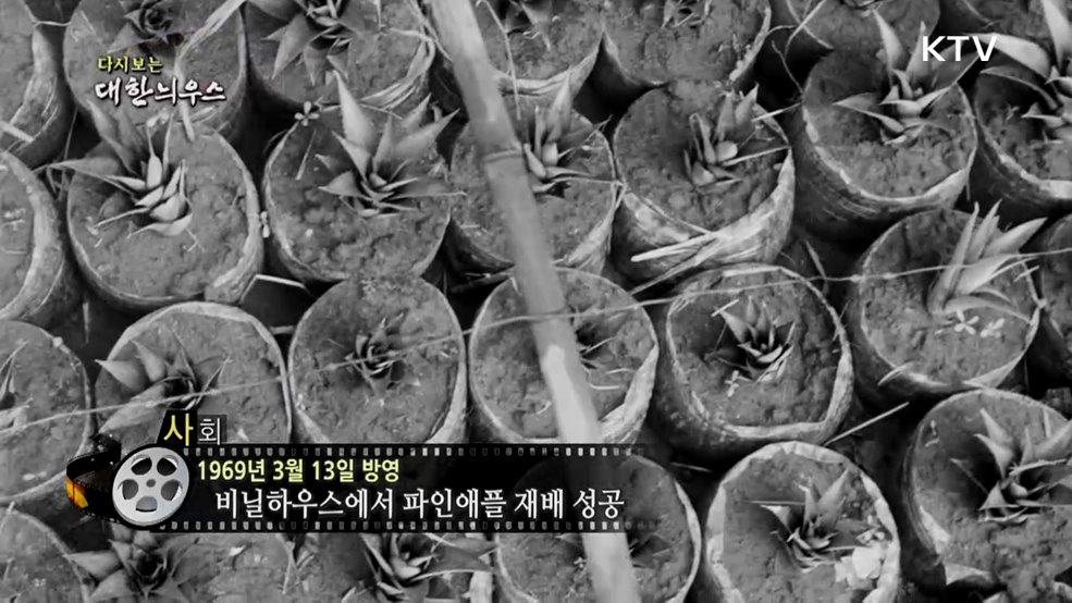 다시보는 대한늬우스 (69. 3. 13.)