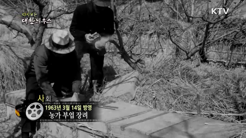 다시보는 대한늬우스(63. 3. 14.)